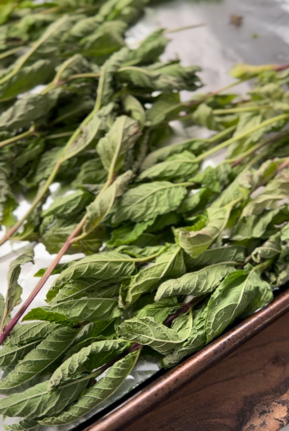Farm to Stable Peppermint Sugar Cubes