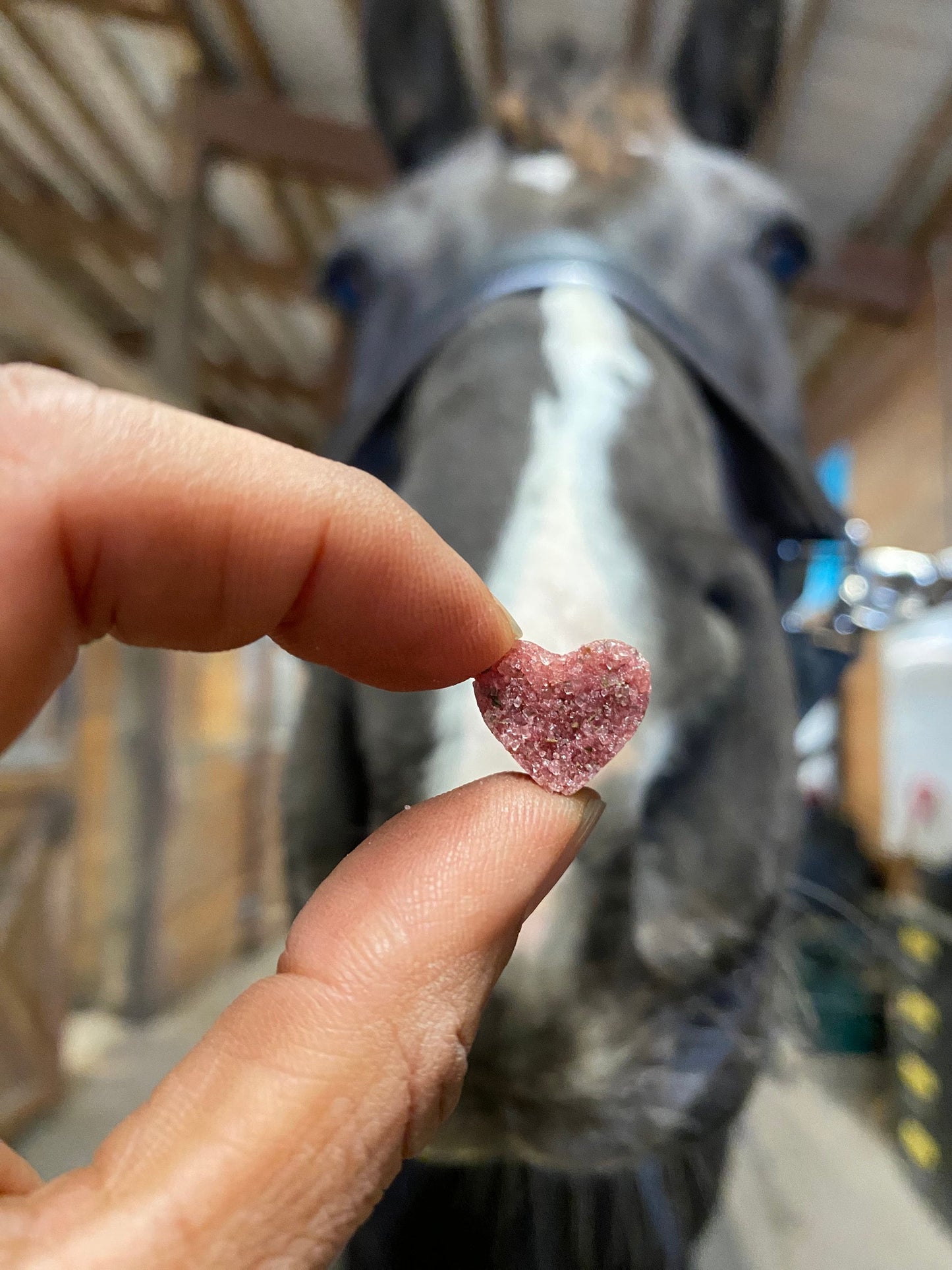 Horse Treat- Natural Beet Flavor (Copy)
