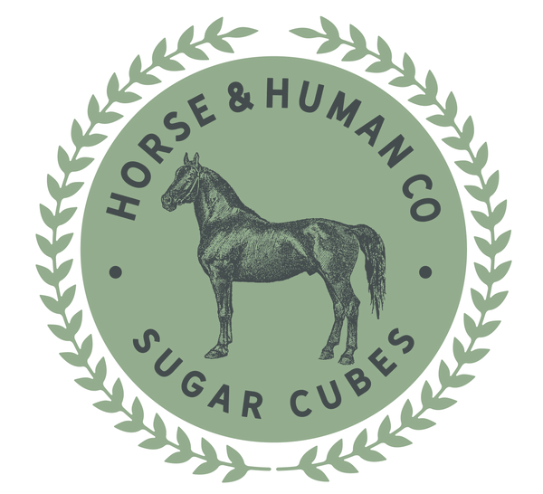 HorseandHumanCo